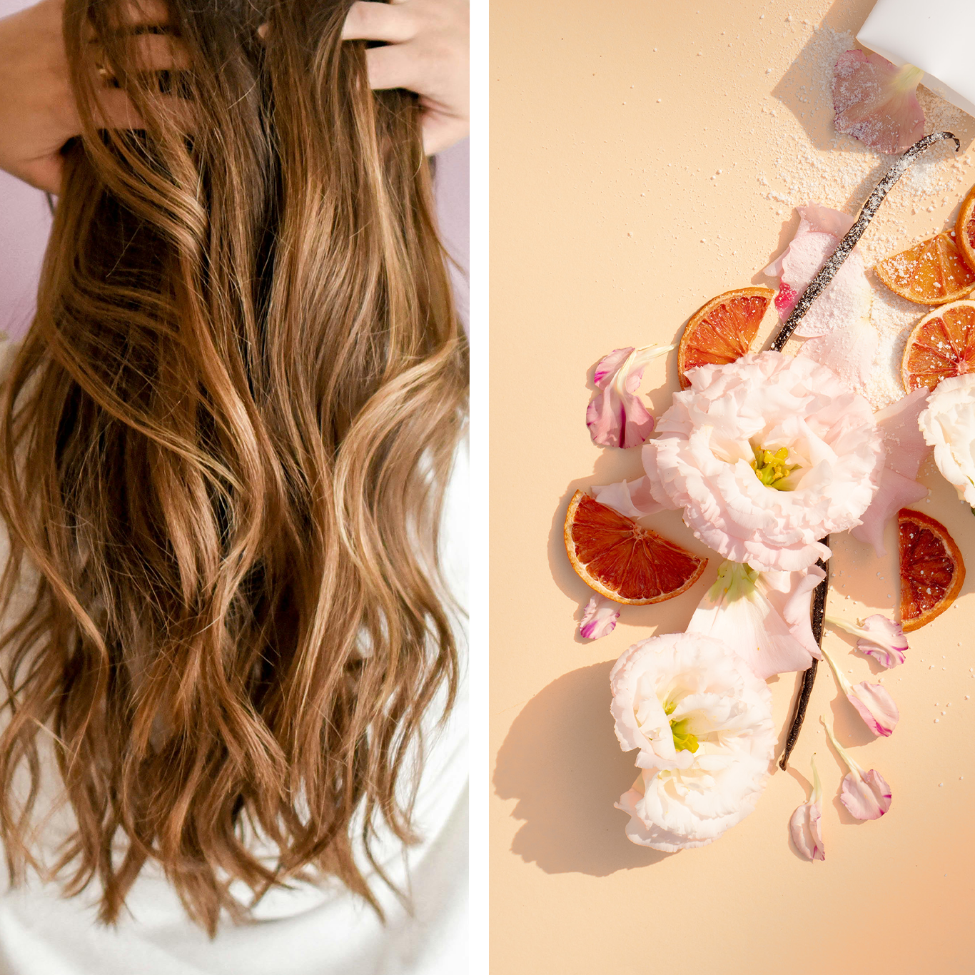 Pulvershampoo Hammam Harmony von Better by Less