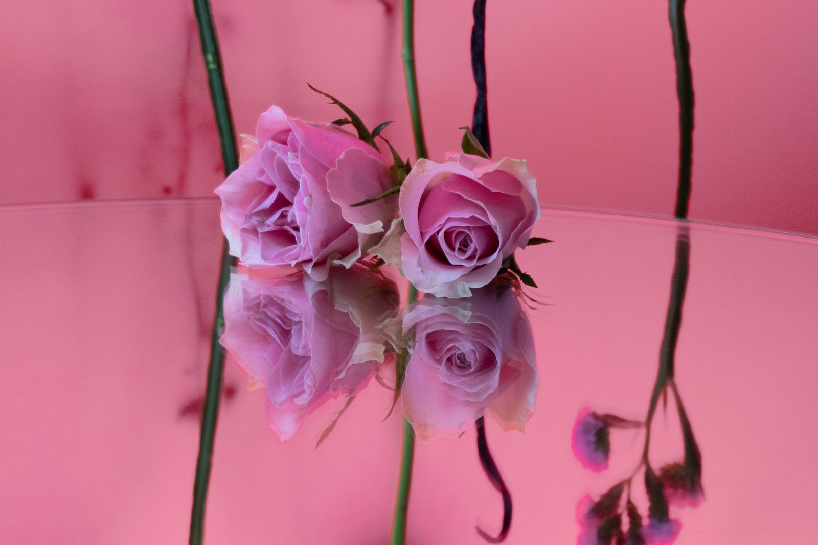 Rosé Sorbet Better by Less Valentinstag